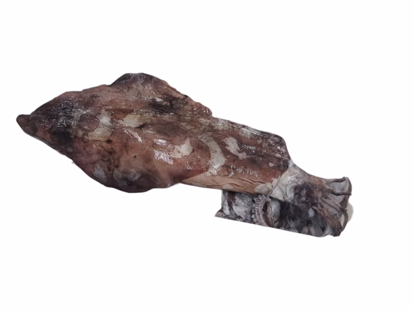 Calamaro 1+ kg