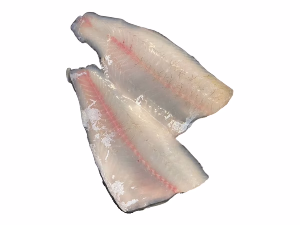 Fil. Persico Reale SP 50-80 gr