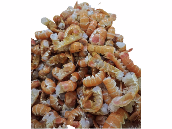 Scampo code 6-9 pz