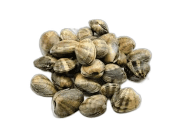 Vongole Veraci Super Special