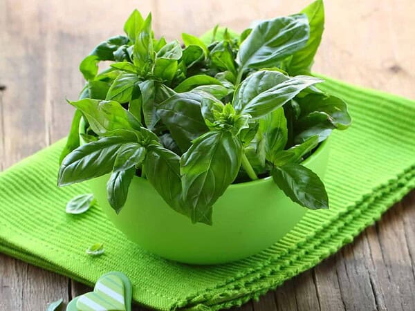 fresh basil is great for this recipe and smells lovely in the kitchen too