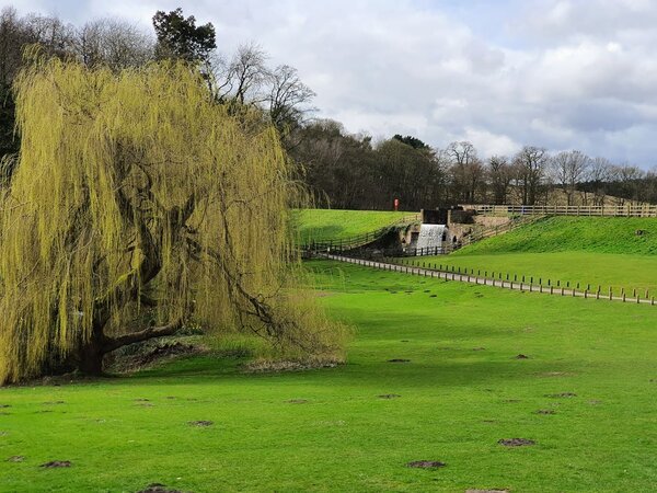 Weeping willow tree and waterfall with grass covered in mole hills