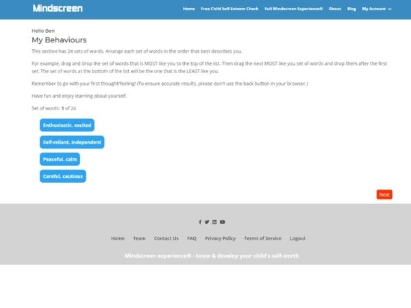Screenshot of Mindscreen interface
