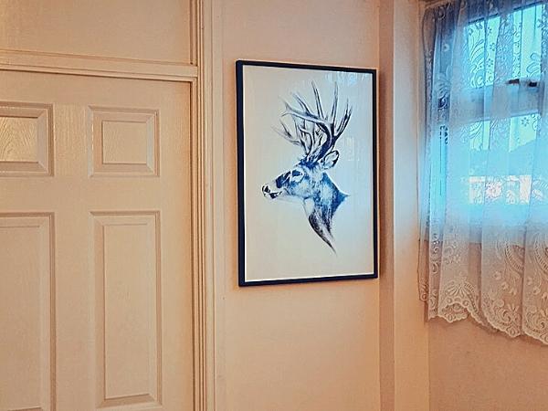 Closeup of stag wall art on wall