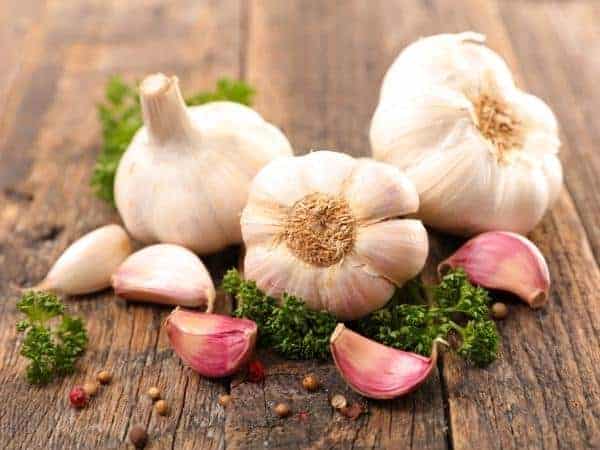fresh garlic