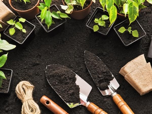 soil with hand tools and plants in pots
