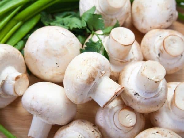 mushrooms