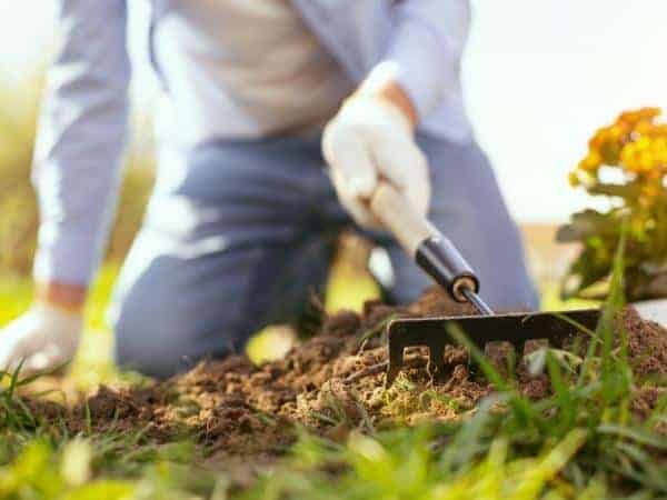 someone kneeling raking soil