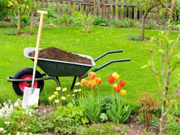 wheelbarrow full of mud in well kept garden