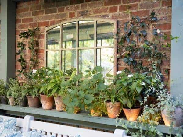 Why is it vital to keep in-door plants?