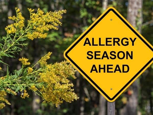 allergy season ahead sign