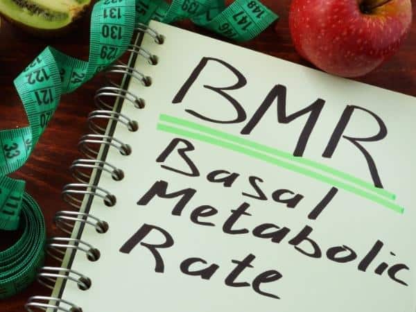 BMR written in notebook with basal metabolic rate - one of the measurements given by the exercise calorie calculator