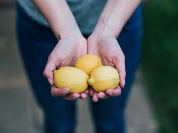 hands holding lemons