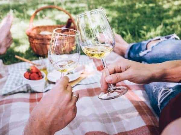 glasses clinked with picnic