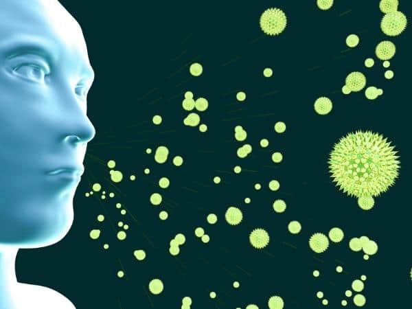 face image showing large pollen molecules