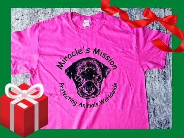 Miracles mission tshirt