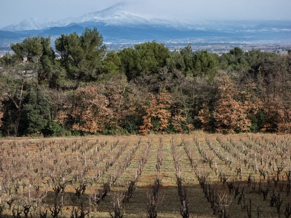 chateau_rayas_2014-17.jpg