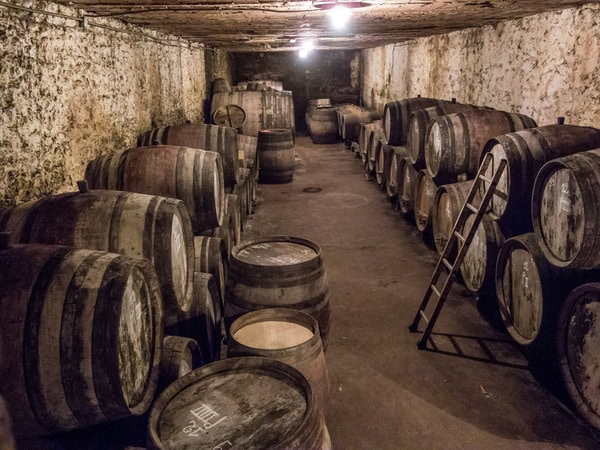 chateau_rayas_2014-25.jpg