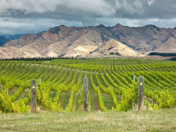 new_zealand-5.jpg