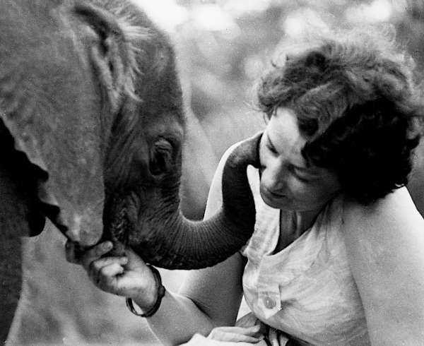Su FOCUS 4 storie di amicizia tra uomo e animale in "Un cucciolo in famiglia" | Digitale terrestre: Dtti.it
