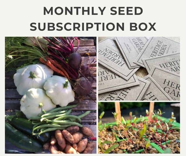 Monthly Subscription Box