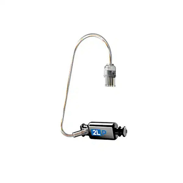 Advanced hearing aid device with digital processing, customizable fittings, and discreet design for improved hearing clarity and comfort.