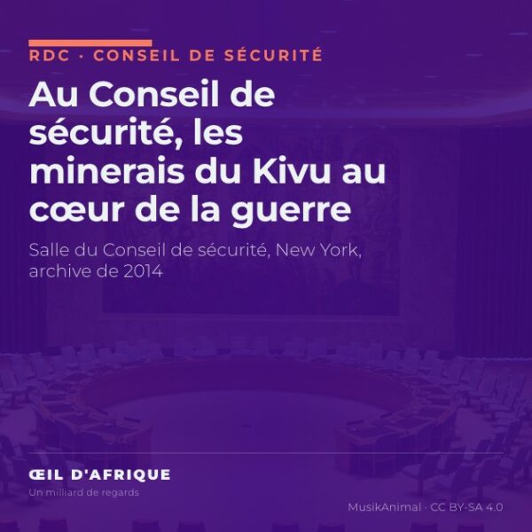 Salle du Conseil de sécurité des Nations unies à New York, où la société civile du Sud-Kivu a décrit la guerre des minerais dans l'Est de la RDC
