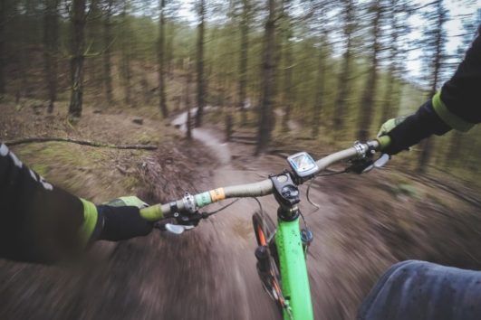 Bike Tours