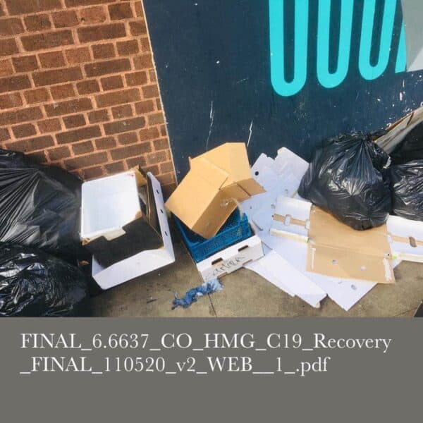 FINAL_6.6637_CO_HMG_C19_Recovery_FINAL_110520_v2_WEB__1_.pdf - tote bag - Image 4