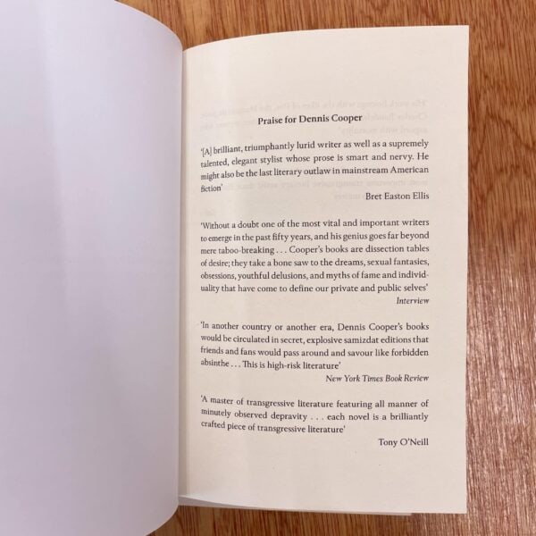 Closer by Dennis Cooper - Image 3