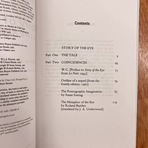 Story of the Eye by Georges Bataille - Image 4