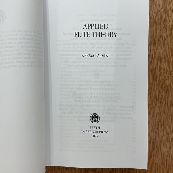 Applied Elite Theory by Neema Parvini - Image 2