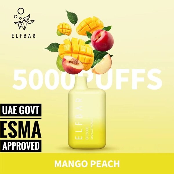 ELF BAR BC5000 Mango Peach