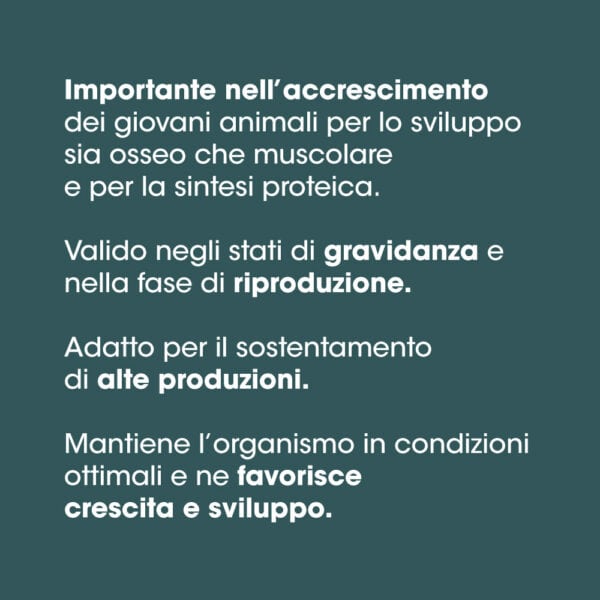 Biostress polvere 60 g