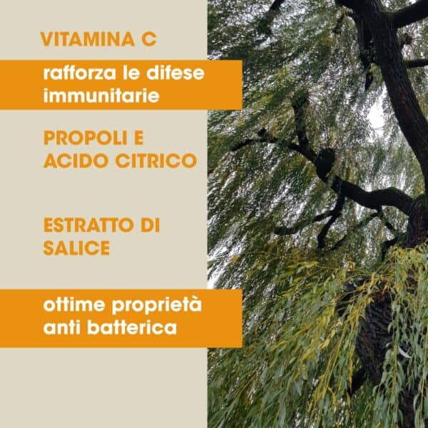 Raffreddor plus liquido 100 ml