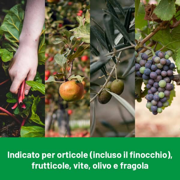 Poltiglia di Rame 20 Poltiglia di Rame 20