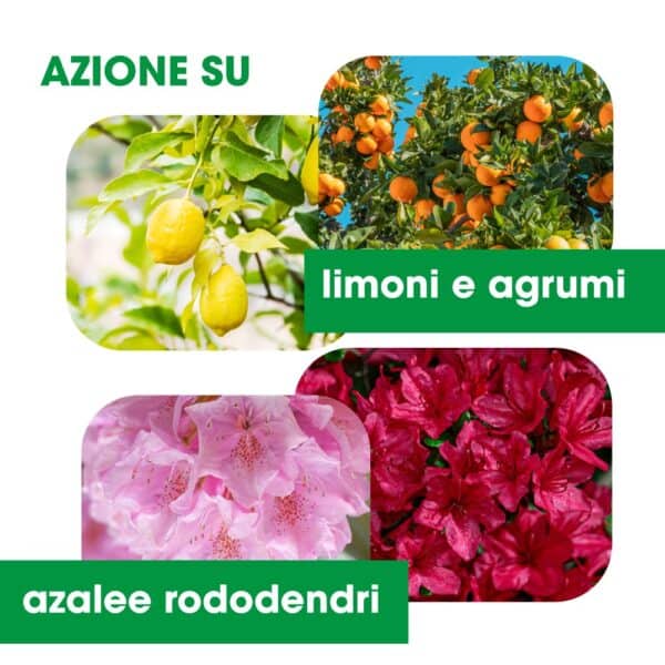 Concime Lupini macinati granulare