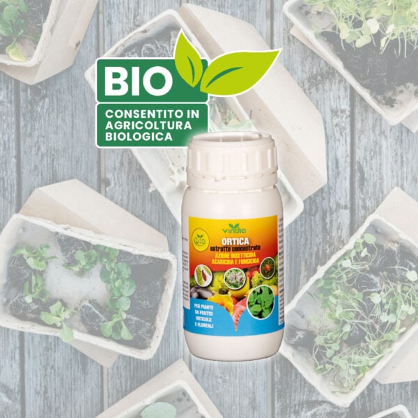 Estratto di ortica concentrato