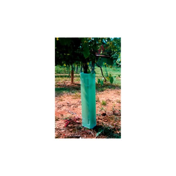 Protezione Per Alberi E Piante In Plastica – 3 Pezzi – Diametro 16,5 X H15,2 Cm – Con Picchetti - 4