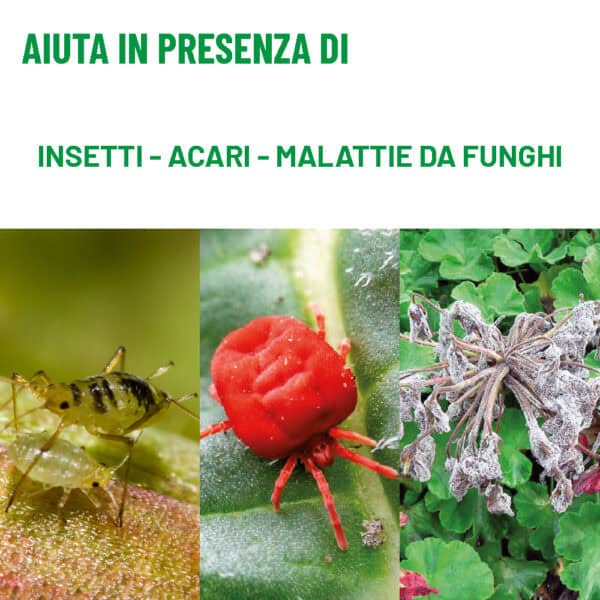 Star Mix Tripla azione 1 lt