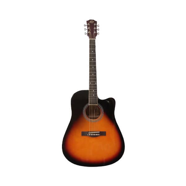 Guitarra Importada FEVER FV3910CA BL Azul FEVER - Guitarras. Compra online con garantía.