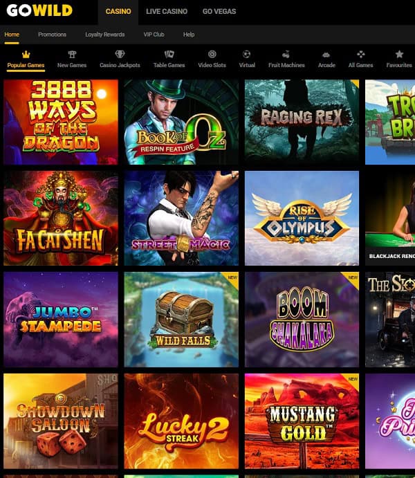 GoWild Casino Review