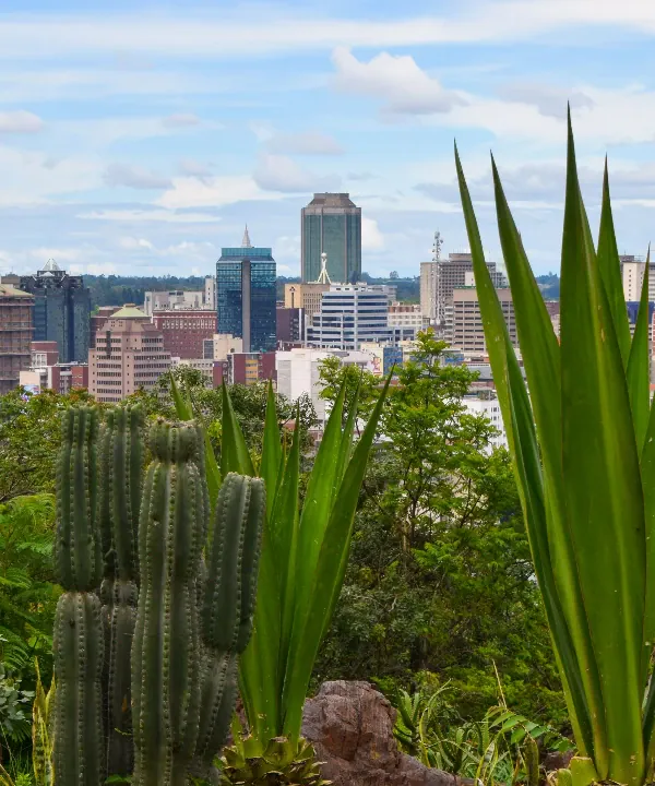 Lusaka City
