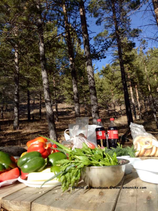 jungle safari dos and dont's