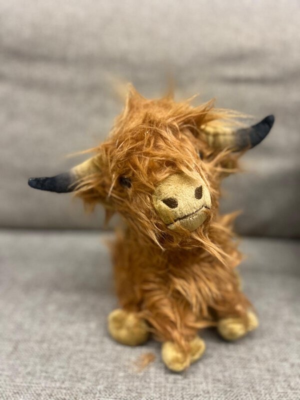Yak