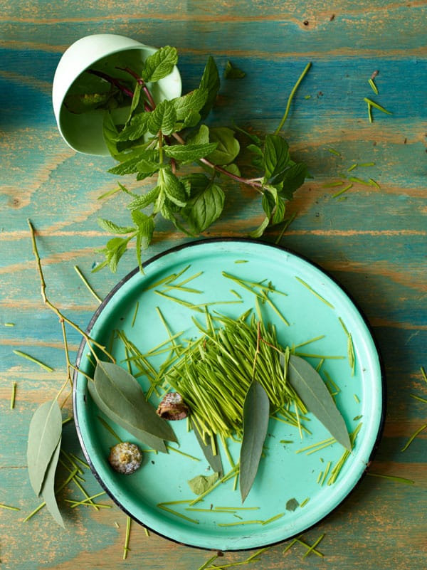 vinography_essence_mint.jpg