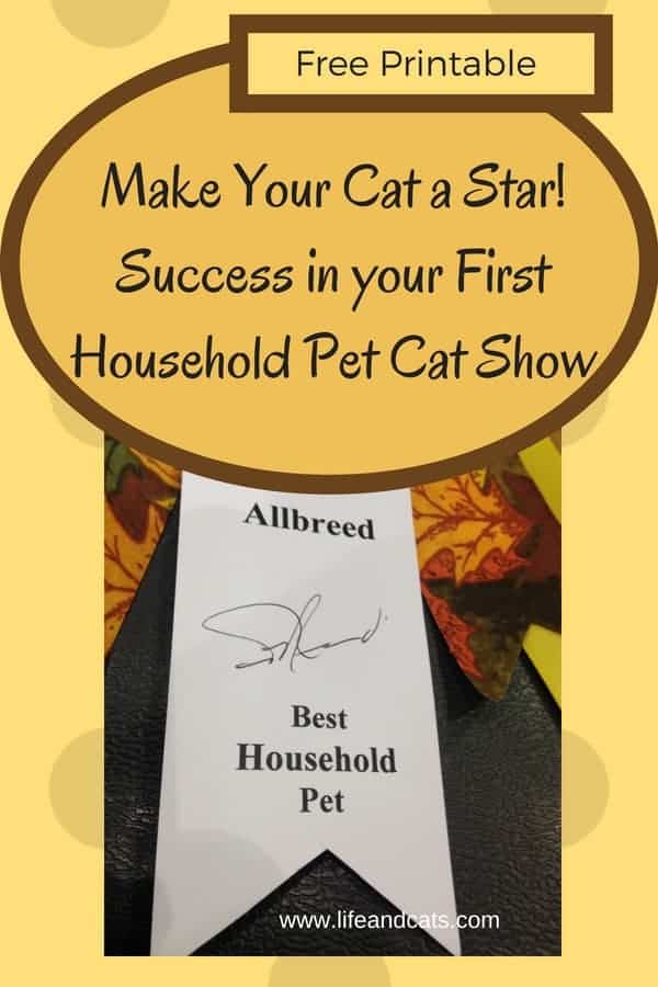 Is Your Cat a Star? Your First Household Pet Cat Show 7 Household Pet Cat Show pinnable image