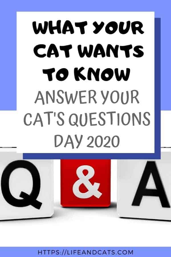 Q&A graphic on blue background
