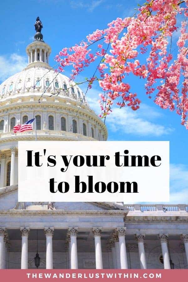 60 Best Washington DC Quotes to Inspire Your Trip to America's Capital