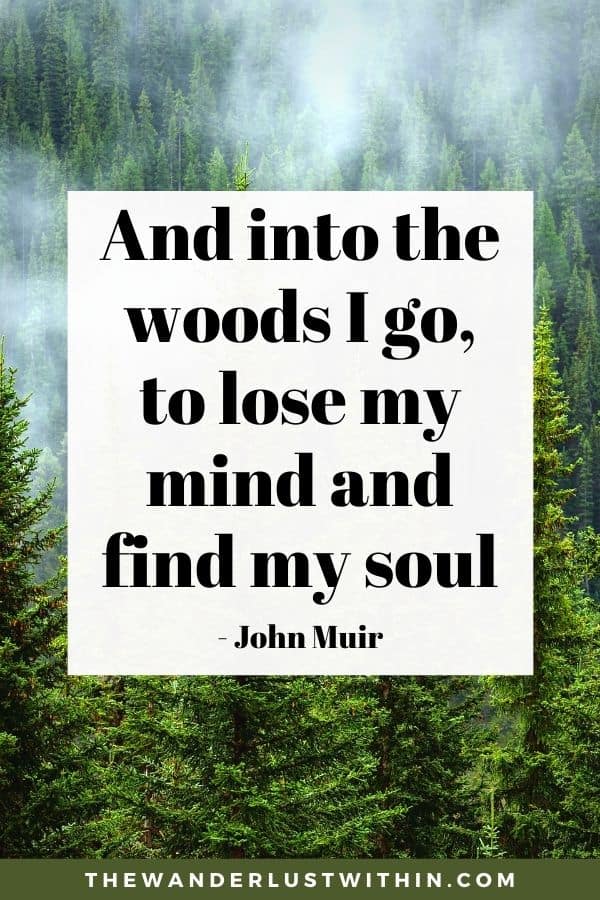 87 Most Inspiring John Muir Quotes for Nature Lovers (2023) The